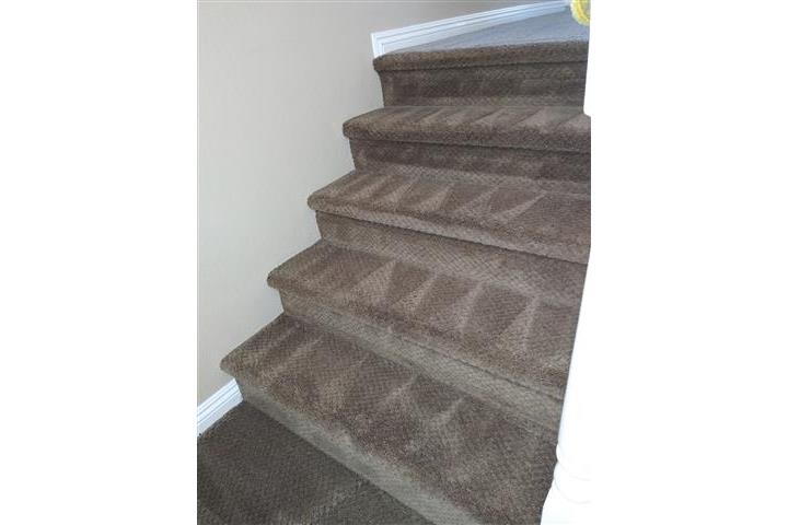 Limpieza de Carpetas Alfombras image 1