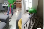 House cleaning