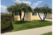 3 beautiful palm tree hardwood