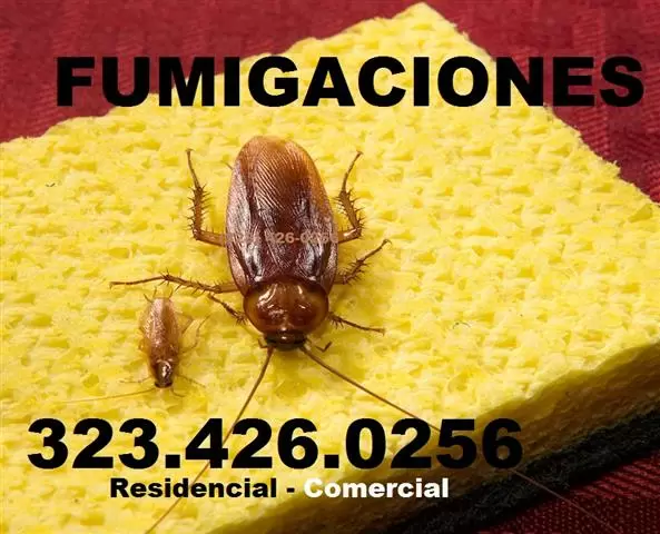 FUMIGACIONES - GARANTIZADOS . image 4