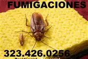 FUMIGACIONES - GARANTIZADOS . thumbnail