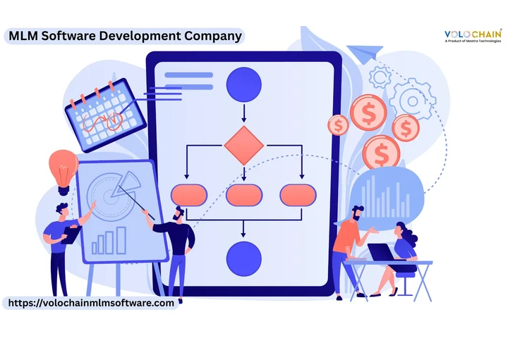 MLM Software Development image 1