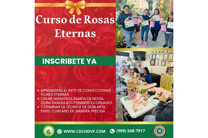 Carreras y Talleres en Español image 7