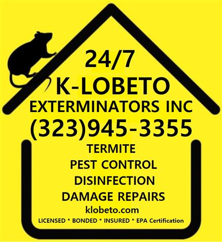 EXTERMINADORES - PEST CONTROL image 4