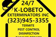 EXTERMINADORES - PEST CONTROL thumbnail