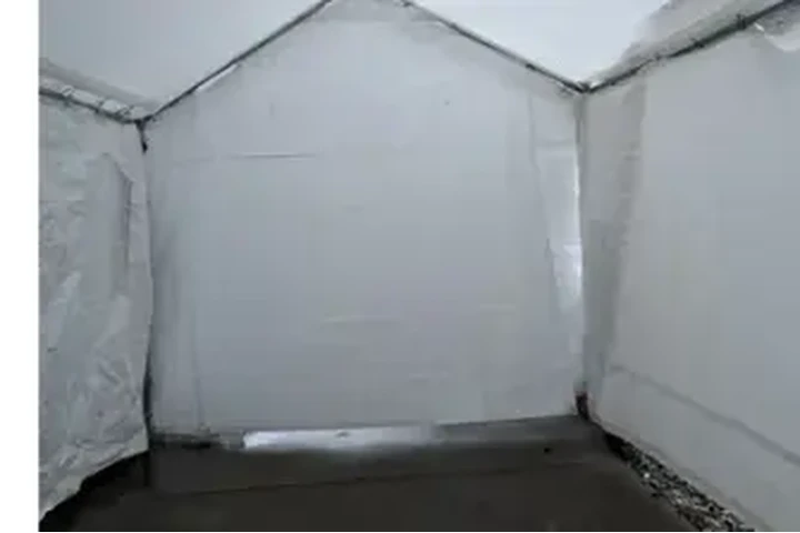 TENEMOS CARPAS image 5