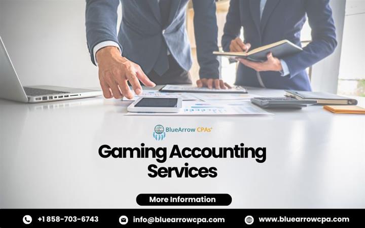 Gaming accounting services image 1