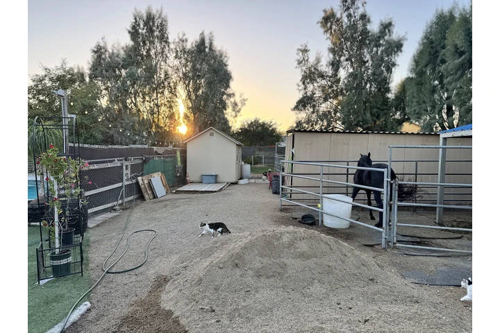 $749000 : Farm House on Horse Property image 2