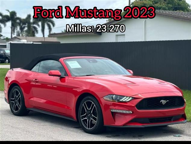 Ford Mustang image 6