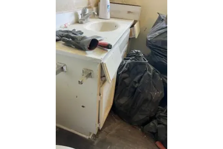 ALEX THE HANDYMAN image 5