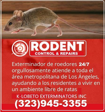 Rodents Fumigation 24/7.- image 9