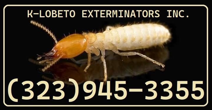 EXTERMINADORES CERCA L.A.-24/7 image 4