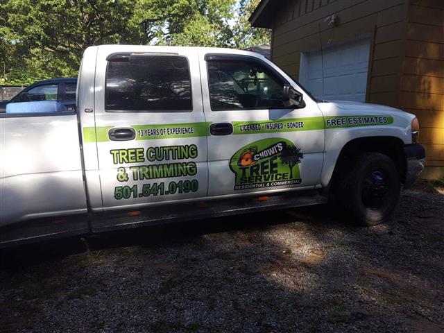 Chowis Tree Services image 2