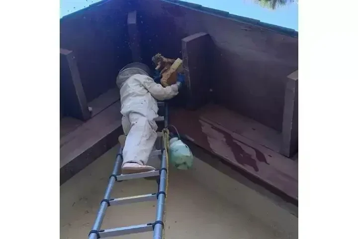 SUPERIOR BEE CONTROL image 3