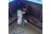 SUPERIOR BEE CONTROL thumbnail