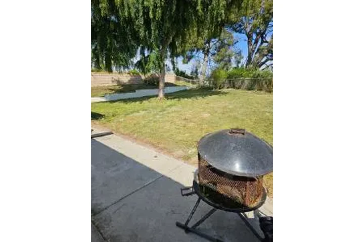 JARDINERÍA EN GENERAL image 2