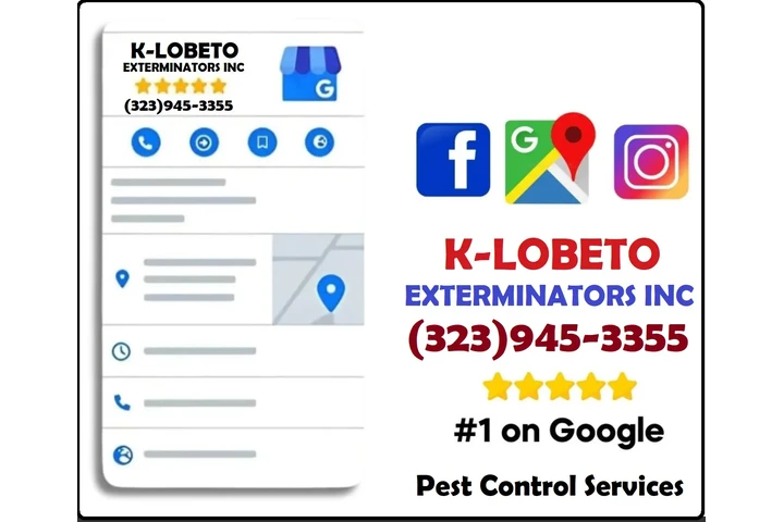 PEST CONTROL MAYWOOD ALL AREAS image 1