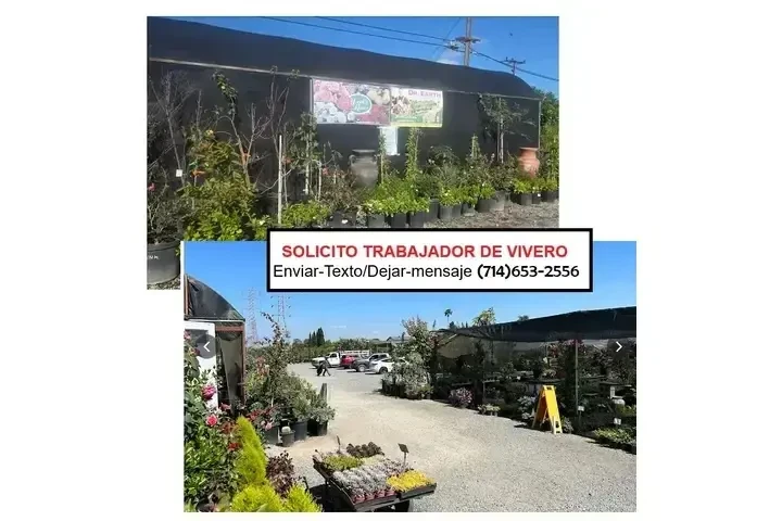 TRABAJADOR DE PLANTAS image 1