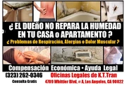 🔥ENFERMO? PROBLEMA DE HUMEDAD en Los Angeles