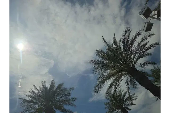 $28544 : BMW 6 Series 2018 AWD ALPINA image 8