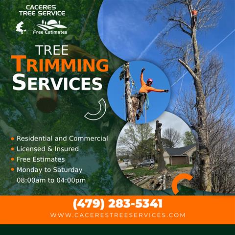 Caceres Tree Service image 6
