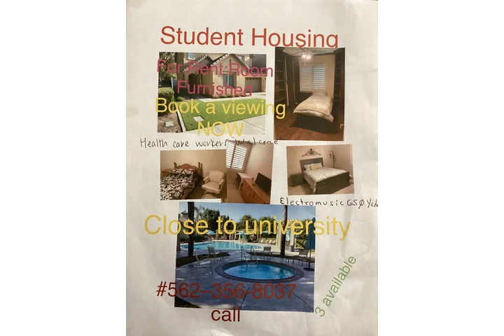 $945 : Cuarto Amueblados+Pool+Wifi+TV image 2