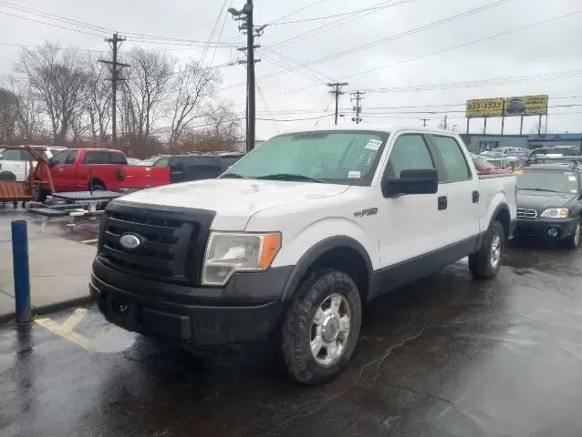 2009 F-150 image 3