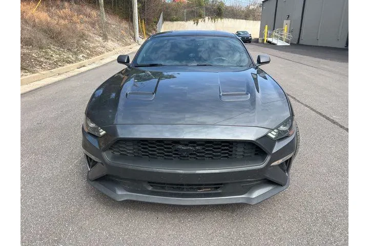 $18990 : Ford Mustang 2019 EcoBoost 2 image 2