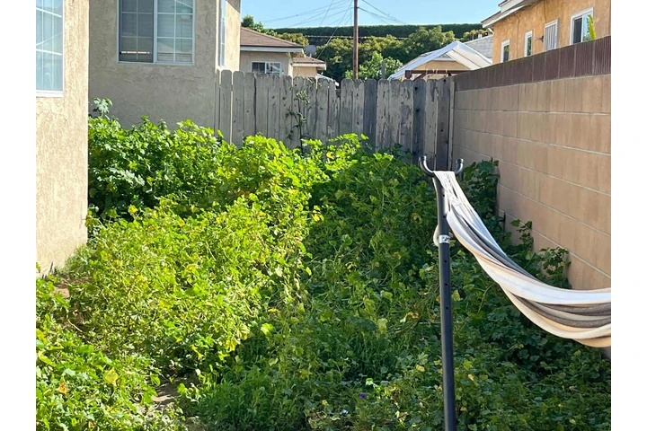 Corte de pasto 🏡$35 image 8