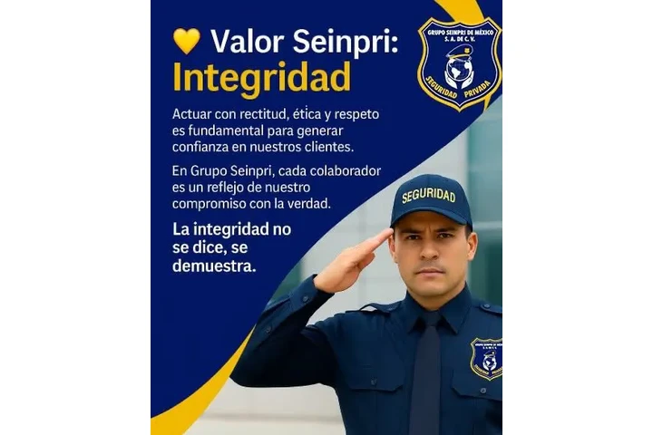 Grupo SEINPRI de México, S.A. image 2