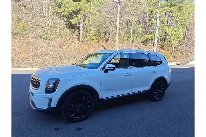 $21402 : Kia Telluride 2021 SX 4dr SU image 6