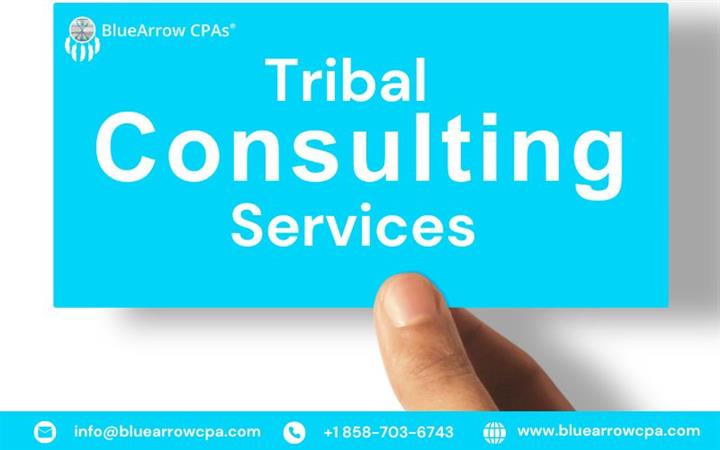 Tribal Consulting Services image 1