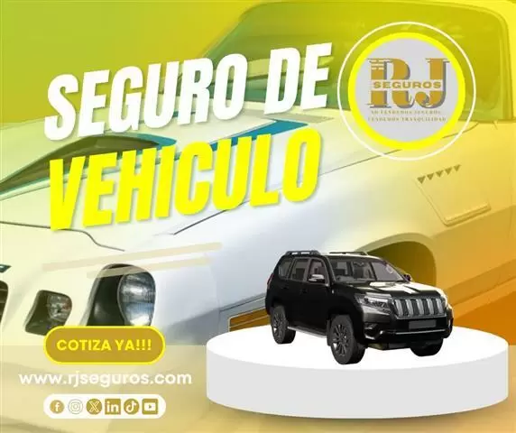 Broker de Seguros en Ecuador image 7