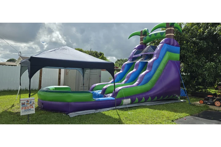 $200 : Water Slide image 9