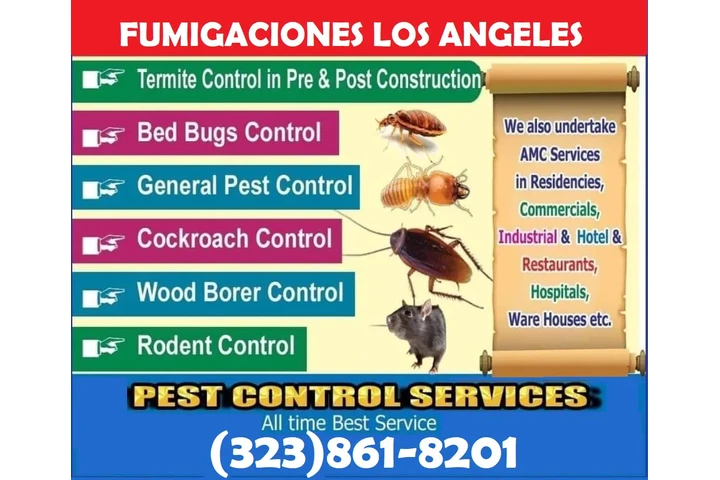 FUMIGACIONES ¡NO MAS PLAGAS! image 1