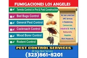 FUMIGACIONES ¡NO MAS PLAGAS! en Los Angeles