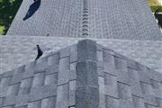 AM Professional Grade Roofing thumbnail 4