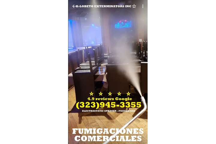 Urgent Pest Control - Same-Day image 8