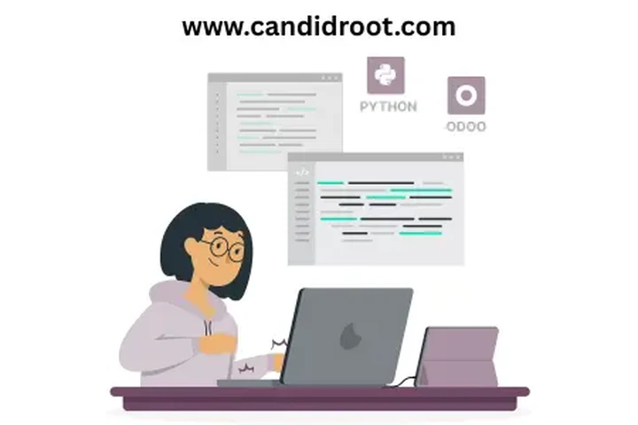 Hire Odoo ERP Consultant image 1