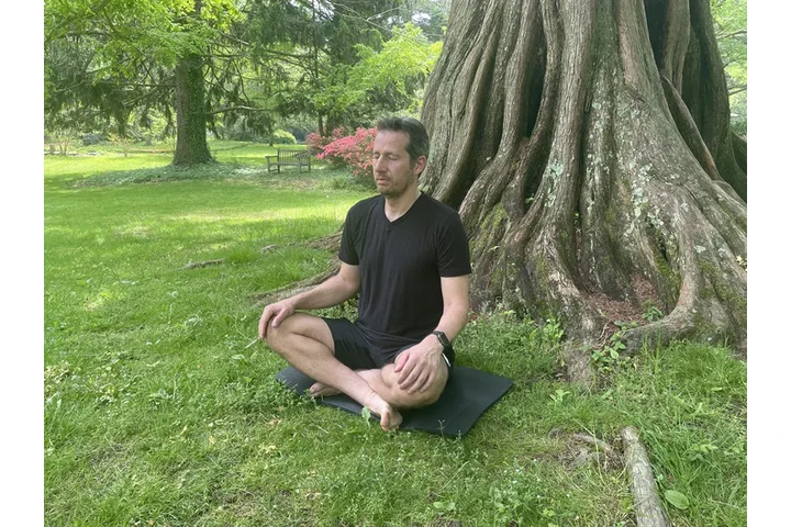 Metamorphosis Coach image 2