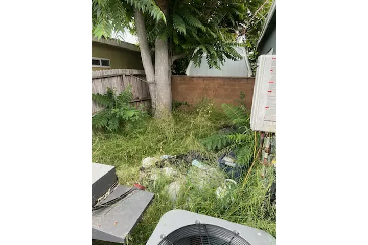 Corte de pasto 🏡$35 image 8