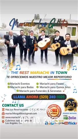 Mariachi Los Gallitos For Hire image 3