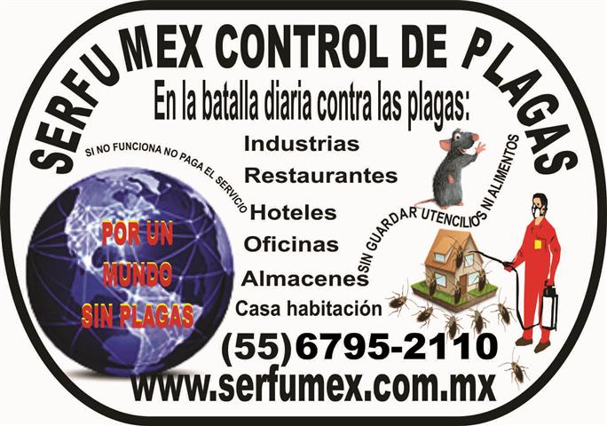SERFUMEX CONTROL DE PLAGAS image 6