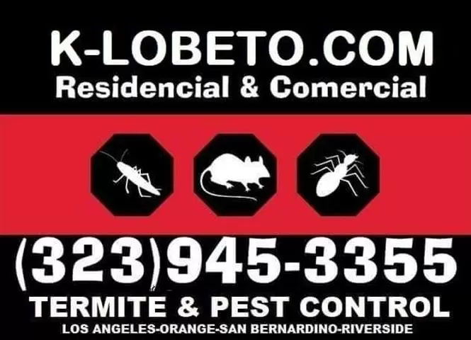 PEST CONTROL SERVICES NEAR ME. image 8