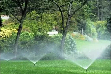 Basilio Landscaping Service en Riverside