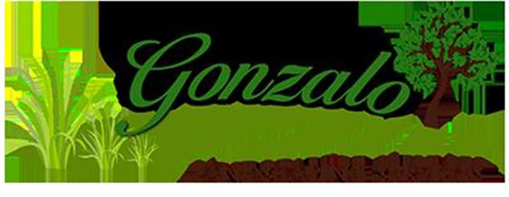 Gonzalo Landscaping Services image 9
