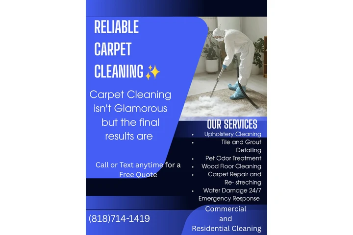 Limpieza De Alfombra image 1