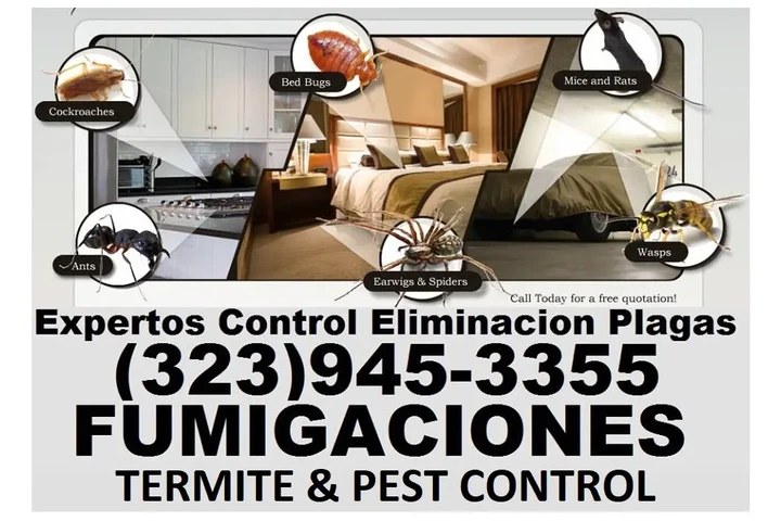 FUMIGACION EXCELENTE ECONOMICO image 3