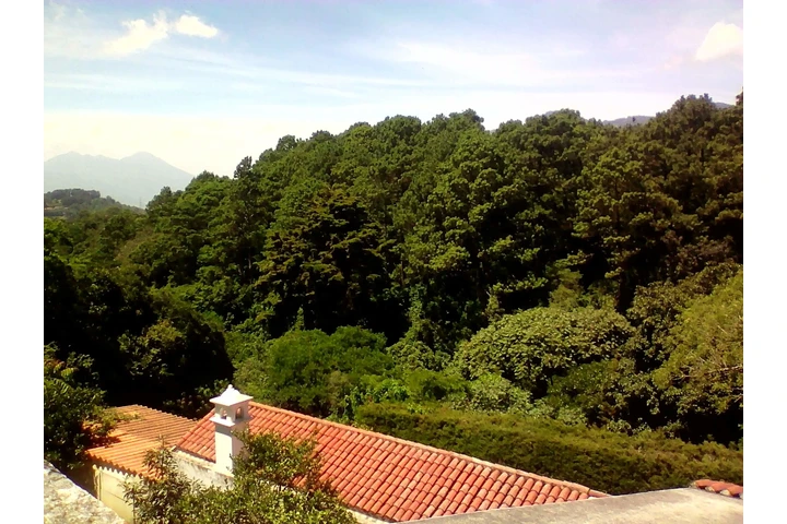 $1800 : Se alquila habitación amueblad image 7