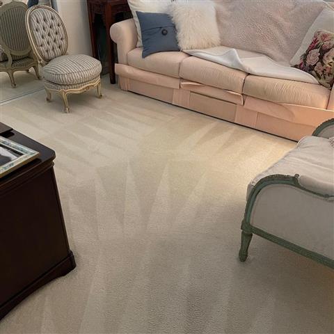 O&Z Carpet Cleaning image 3